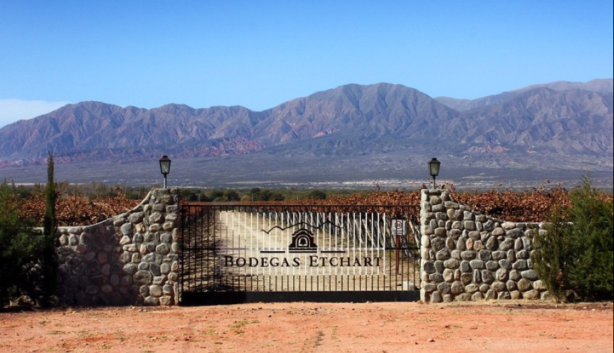 Molinos acelera su expansión y compra la histórica Bodegas Etchart para ingresar a los Valles Calchaquíes