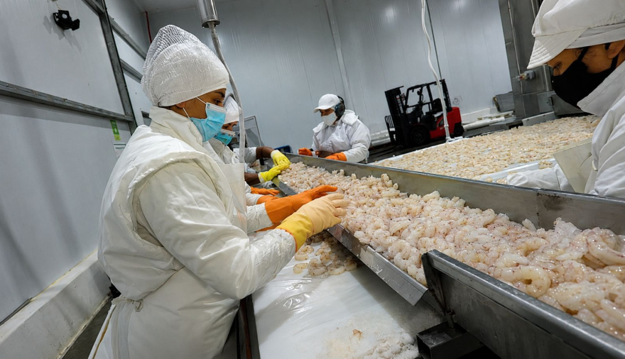 Cabo Vírgenes adquirió Sea Fresh y amplía su capacidad industrial en la pesca argentina