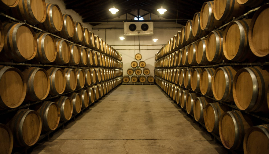 La Bolsa de Comercio de Mendoza analizó el futuro del vino a granel y el escenario exportador