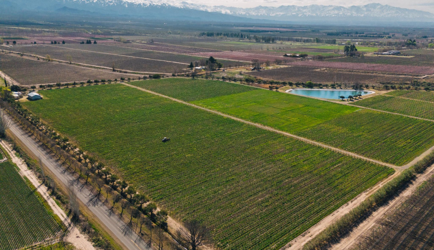 Ley de Tierras: la Corte destrabó el DNU 70/23 y levantó las restricciones a extranjeros