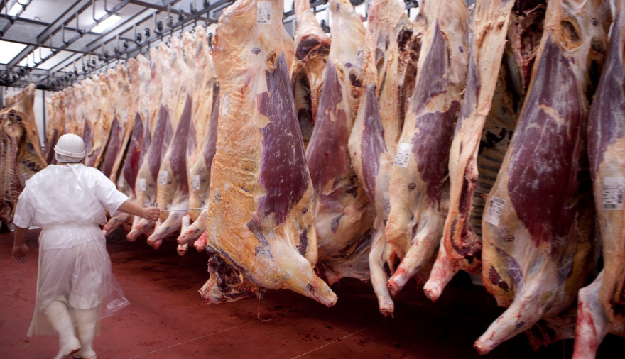 Carne vacuna: consumo en mínimos, precios altos y exportaciones récord
