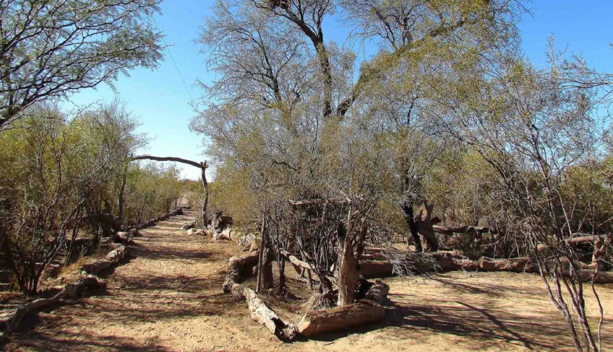 Sello Algarrobo: Mendoza incorpora la huella de carbono a su oferta turística