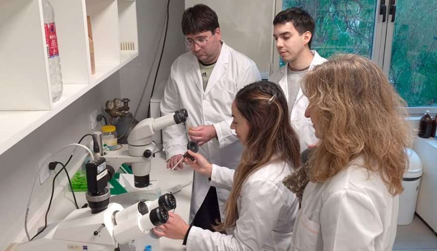 CONICET y Mendoza desarrollan biotecnología para mejorar la producción ganadera