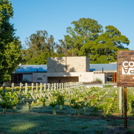 Trapiche Costa & Pampa: Una década de vinos de alta calidad en la Costa Atlántica