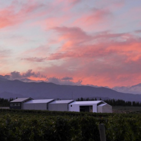 La experiencia personalizada de Casa de Uco Vineyards & Resort para vivir la cosecha en Mendoza