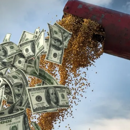 El agro aportará 3.300 millones de dólares en retenciones en el primer semestre