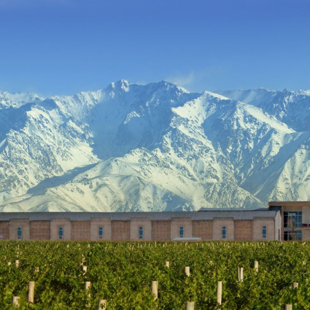 Domaine Bousquet lanza la Experiencia Gaia: turismo, vino y sustentabilidad en Gualtallary