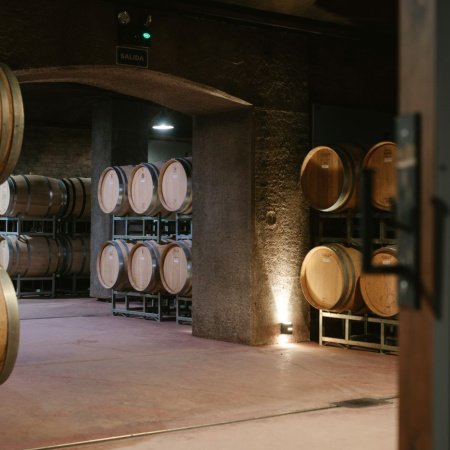 Nuevos integrantes en dos grupos vitivinícolas de Argentina