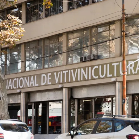 La Justicia frenó la desregulación del INV y restableció el CIU a días del inicio de la vendimia