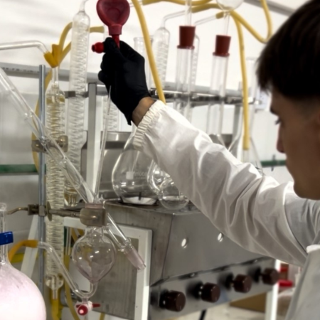 El costo oculto del vino: cómo la microbiología ayuda a evitar pérdidas millonarias en las bodegas