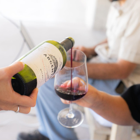 Mendoza fue sede del IV Encuentro Binacional de Vinos Fairtrade y refuerza su rol en el comercio justo regional