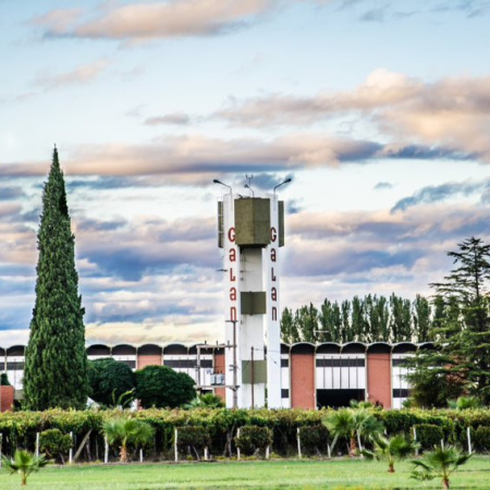 La Justicia Federal calculó una deuda millonaria en litros de vino de Bodegas Galán con Iberte