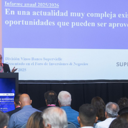 El vino en Mendoza busca adaptarse a nuevas tendencias y abre oportunidades de inversión