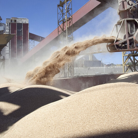 Argentina exportó más en un mundo que pagó menos