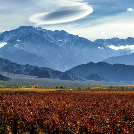 Malbec World Day 2026 impulsa la industria vitivinícola argentina y su proyección global