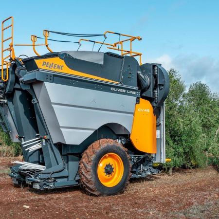 Revolución en la olivicultura: nueva cosechadora multiplica la productividad y reduce la dependencia de mano de obra