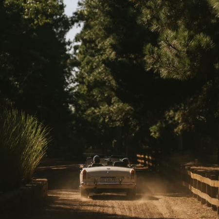 MG participa en Gran Carrera y refuerza su posicionamiento en el segmento automotor