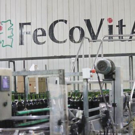 Fecovita: la Justicia ratifica el rechazo del pedido de quiebra impulsado por Iberte