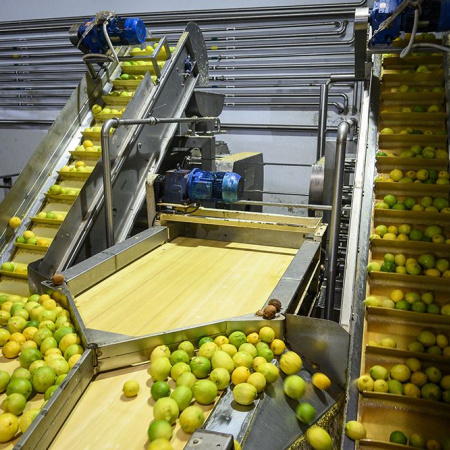 Mendoza y San Juan impulsan una ley para reducir azúcar y promover jugos naturales