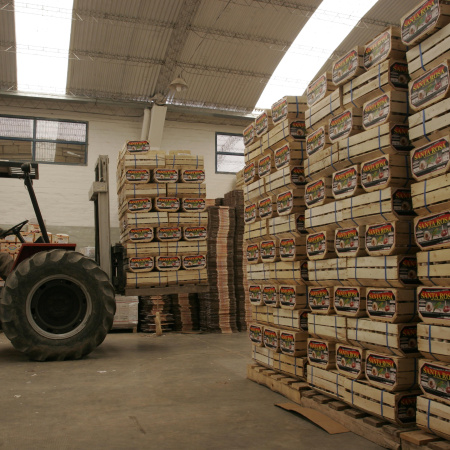 Exportaciones de Mendoza: la provincia sigue lejos de su potencial y busca recuperar competitividad