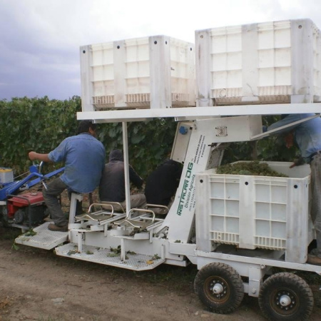Vendimia 2026: la cosecha asistida se consolida como la alternativa más rentable para los productores