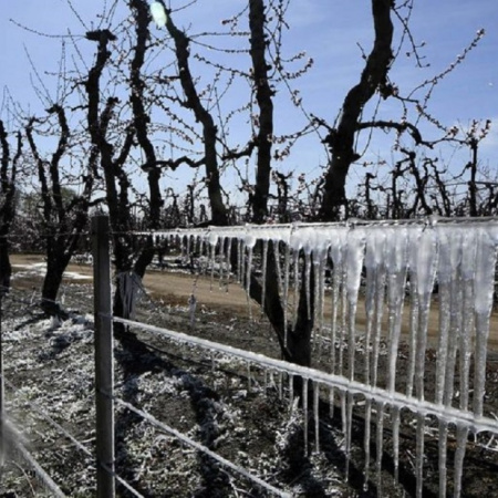 Tecnología e innovación para enfrentar el desafío de las heladas en Mendoza