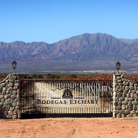 Molinos acelera su expansión y compra la histórica Bodegas Etchart para ingresar a los Valles Calchaquíes