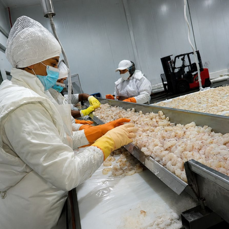 Cabo Vírgenes adquirió Sea Fresh y amplía su capacidad industrial en la pesca argentina