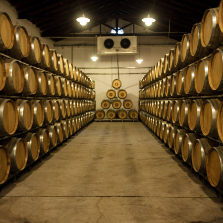La Bolsa de Comercio de Mendoza analizó el futuro del vino a granel y el escenario exportador