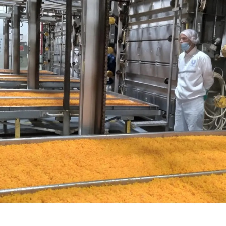 Unilever cerró su histórica planta de vegetales de Guaymallén