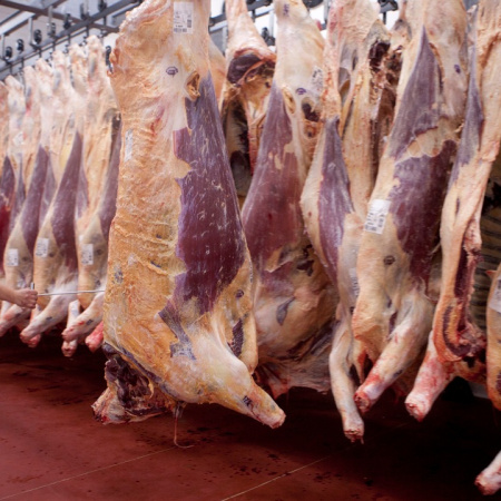 Carne vacuna: consumo en mínimos, precios altos y exportaciones récord