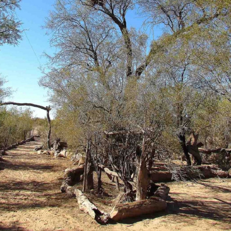 Sello Algarrobo: Mendoza incorpora la huella de carbono a su oferta turística
