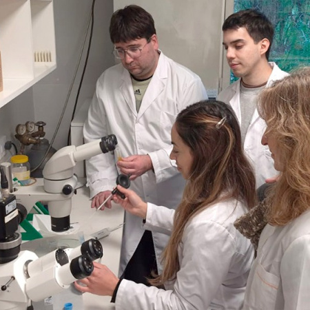 CONICET y Mendoza desarrollan biotecnología para mejorar la producción ganadera